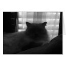Search for watcher Pet