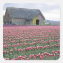 Search for cropping stickers Colour