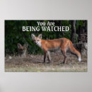 Search for big brother art Nature