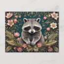 Search for cute raccoons postcards For her