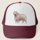 Search for sporting dogs hats Animals
