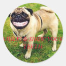 Search for funny smile stickers Teeth