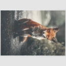 Search for fox tissue paper Animal