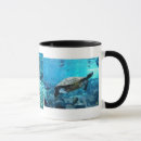 Search for shoals mugs Nature
