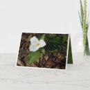 Search for philosopher cards Nature