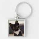 Search for black tuxedo key rings Animal
