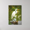 Search for logging photography Nature