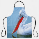 Search for pelicans aprons Wildlife