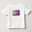 Search for arid tshirts Sunset