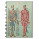 Search for anatomy notebooks School