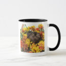 Search for yorkie poo mugs Animal