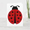 Search for ladybug kid cards Insect