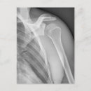Search for normal photography Human body part