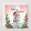 Search for cute kitten christmas cards Funny