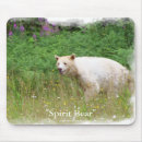 Search for spirit mousepads Bear