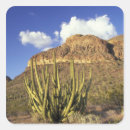 Search for organize stickers Foliage