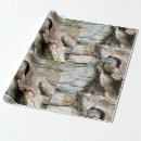 Search for otter wrapping paper Animal