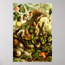 Search for snail posters Vintage