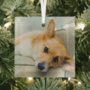 Search for couch christmas tree decorations Cute