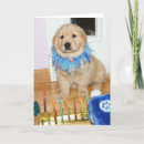 Search for dog hanukkah cards Chanukah