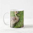 Search for geese mugs Grass