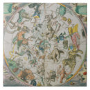 Search for andrea tiles Cellarius