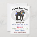 Search for primate invitations Ape