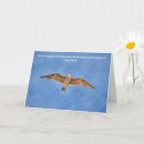 Search for gulls cards Sea gull