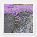 Search for phlox Stone wall