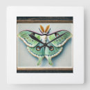 Search for luna moth art Insects