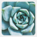 Search for closeup stickers Plant