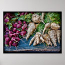Search for turnip art Radish