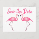 Search for pink flamingo save the dates Summer