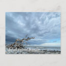 Search for jekyll postcards Sea