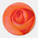 Search for orange wedding magnets Nature
