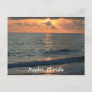 Search for naples florida postcards Sunset