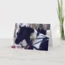 Search for draughts cards Equine