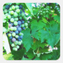 Search for cabernet stickers Grapes