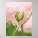 Search for bud posters Bright