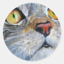 Search for junior stickers Cat