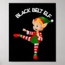 Search for karate belt posters Fighter