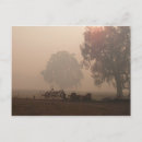 Search for smoking postcards Nature