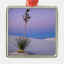 Search for arid christmas tree decorations Plant