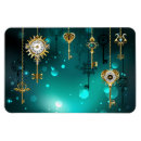 Search for skeleton magnets Steampunk