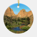 Search for central park christmas tree decorations Nature