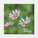 Search for cosmos magnets Garden