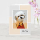 Search for morkies cards Dogs