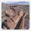 Search for national forest stickers Outdoors