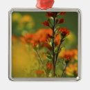 Search for spring green christmas tree decorations Springtime