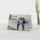 Search for eyes closed cards Dog